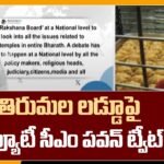 Deputy CM Pawan Kalyan Tweet On Tirumala Laddu