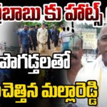 Malla Reddy Praises Chandrababu