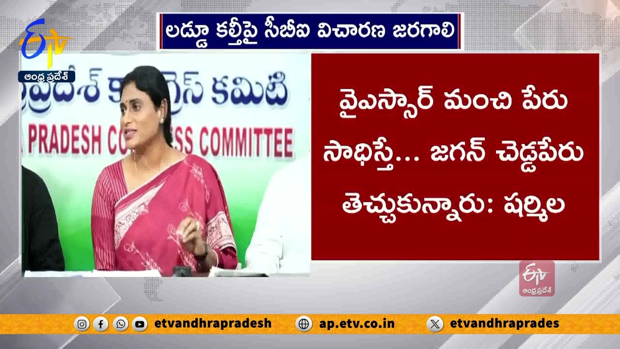 YS Sharmila React on Tirumala Laddu Adulteration