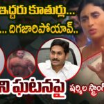 YS Sharmila Respond on Bollywood Heroine Jethwani Kadambari Issue