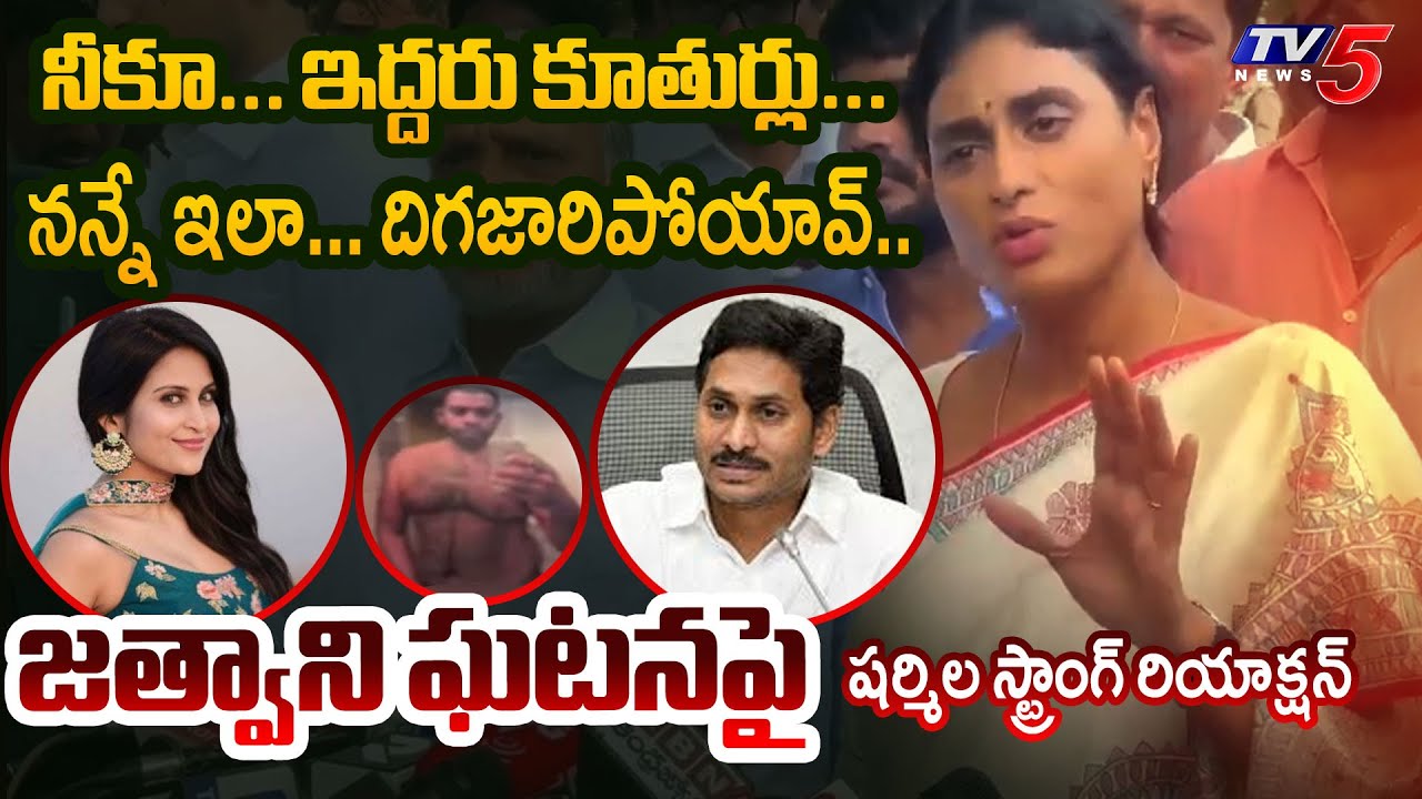 YS Sharmila Respond on Bollywood Heroine Jethwani Kadambari Issue
