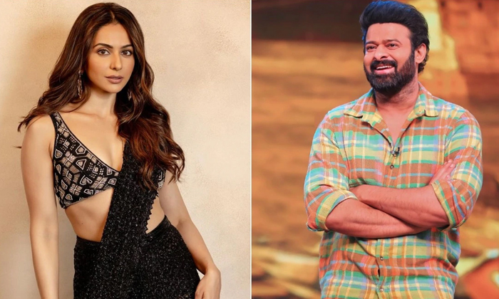 ప్రభాస్‌ పై హాట్‌ కామెంట్స్‌ చేసిన బ్యూటీ!