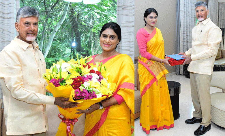 YS Sharmila Takes Aim at Chandrababu!