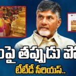 Case Registered Against A Person Posted False Post on CM Chandrababu