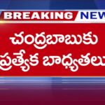 CM Chandrababu Going to Play Role in NDA