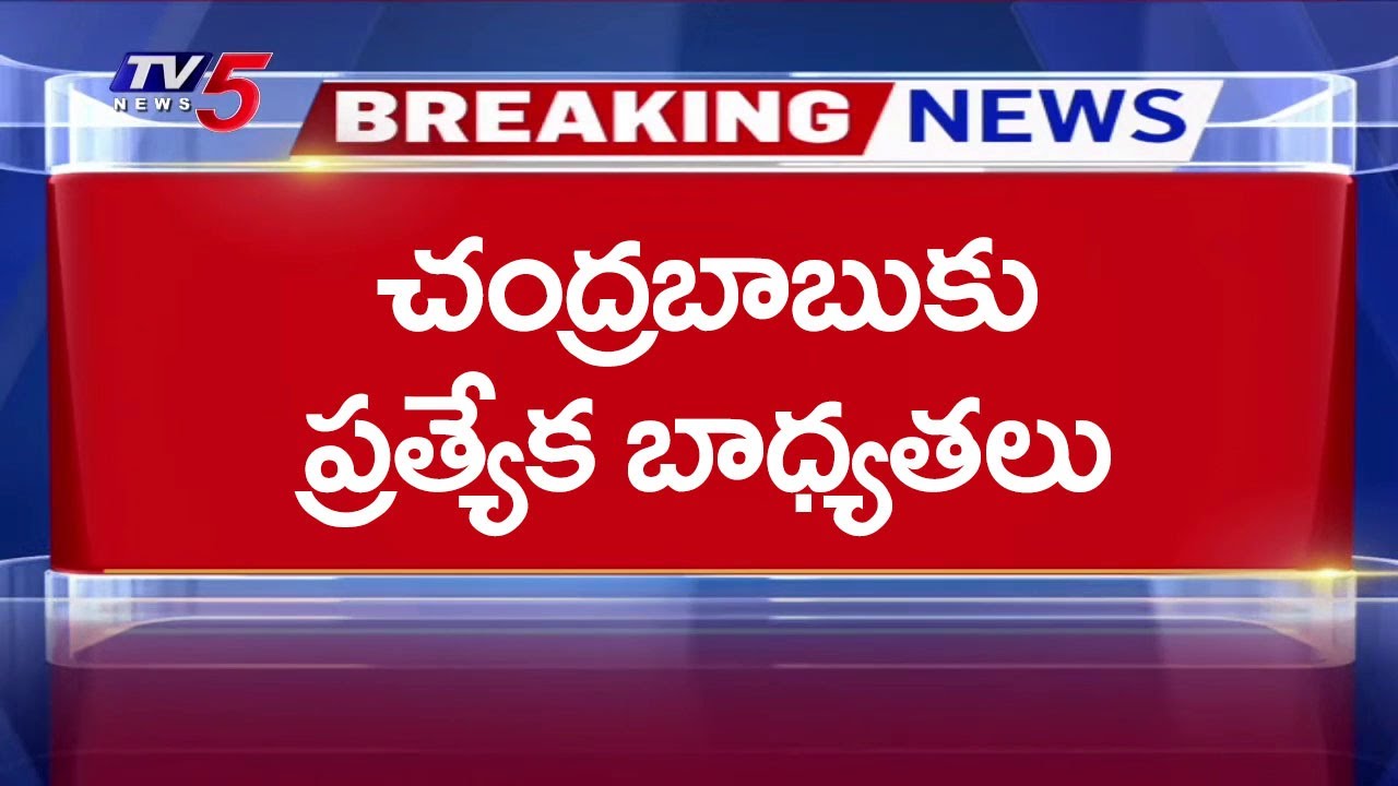 CM Chandrababu Going to Play Role in NDA