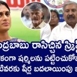 Peddireddy Ramachandra Reddy Comments On Sharmila