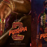 Pushpa The Rule: Hindi Rights Command a Jaw-Dropping Price