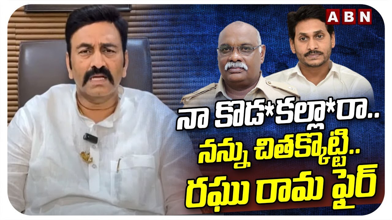 Raghu Rama Comments On Vijay paul