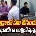 Surge in Applications for Work in Hydra