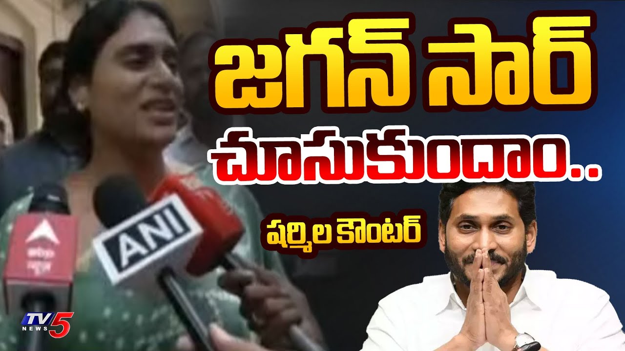 YS Sharmila Counter to YS Jagan Today Press Meet Comments