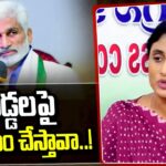 Ys Sharmila Open Challenge To Vijaysai Reddy