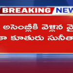 YS Sunitha To Assembly To Meet CM Chandrababu Over Viveka Case