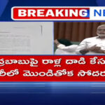 Case Filed Against Mondithoka Brothers In Stone Pelting On Chandrababu Case