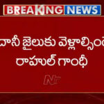 Adani Should be in Jail but Govt Protecting him: Rahul Gandhi