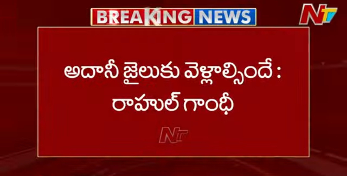 Adani Should be in Jail but Govt Protecting him: Rahul Gandhi