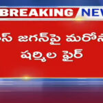 YS Sharmila OPEN Challenge To Ys Jagan Over Adani Deal