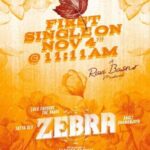 మ్యూజికల్‌ జీబ్రా!