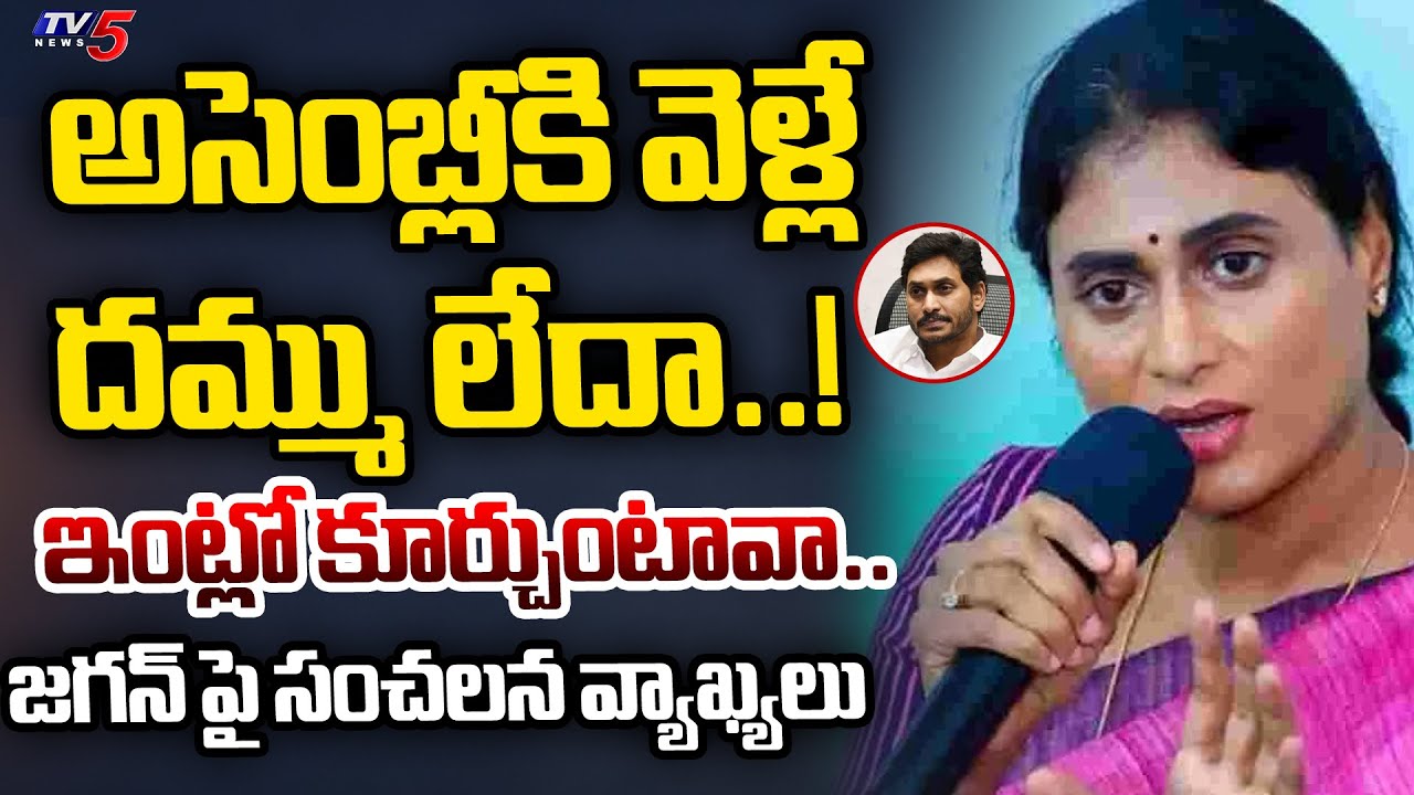 APCC Chief YS Sharmila Sensational Comments On YS Jagan