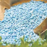 Fertilizers Due To Telangana Farmers Going To Punjab!