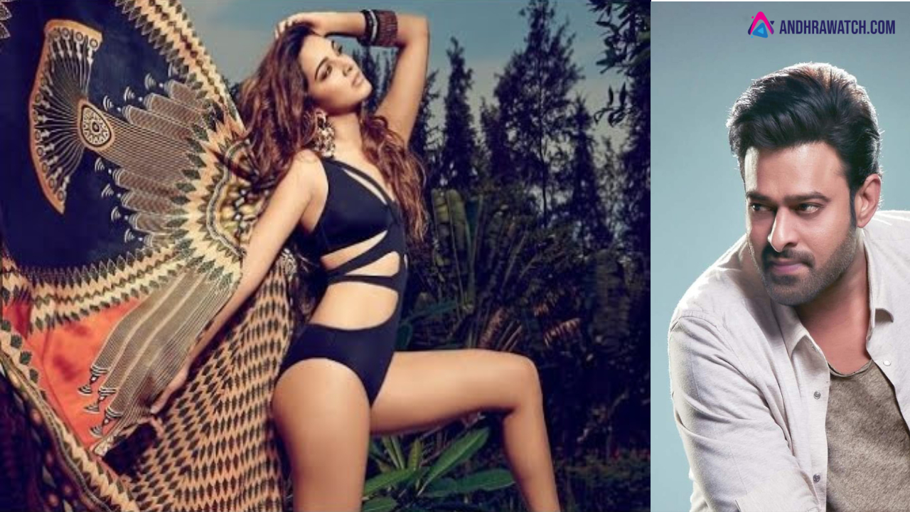 ప్రభాస్‌ స్పిరిట్ లో స్పెషల్‌ సాంగ్‌!