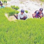 Telangana Farmers Not Getting Loan waiver Money Even After 10 Days!