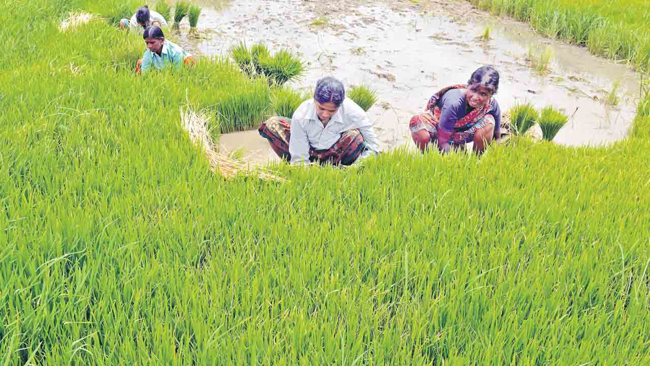 Telangana Farmers Not Getting Loan waiver Money Even After 10 Days!