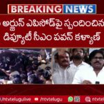 Pawan Kalyan Key Comments On Allu Arjun