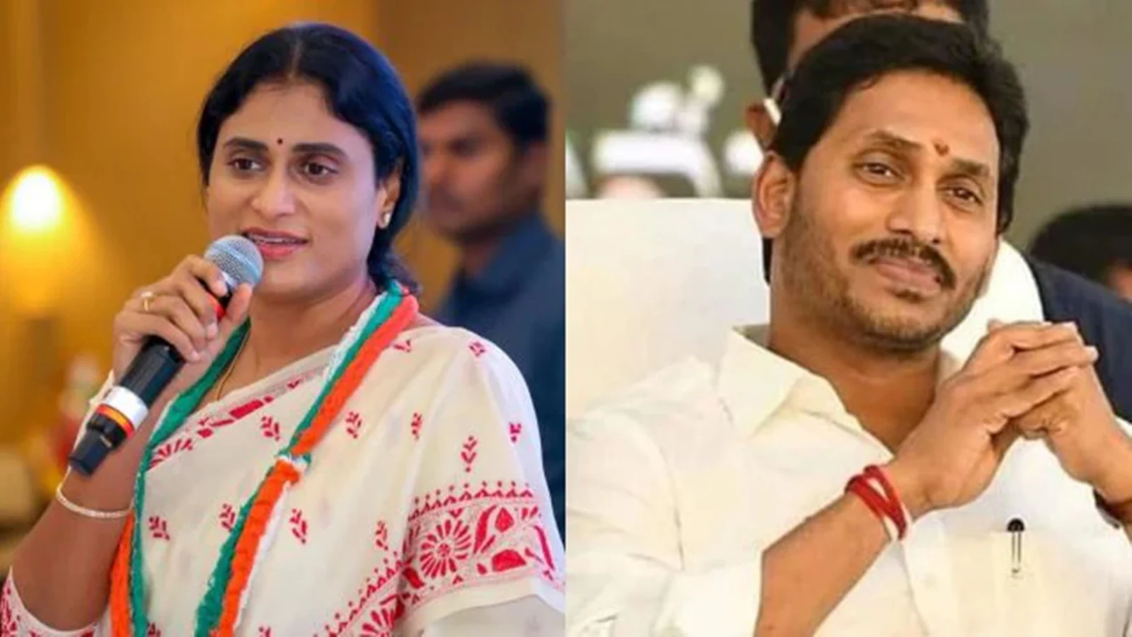 అన్నయ్యను జైలుకు పంపేదాకా చెల్లెమ్మ వదిలేలా లేదే!