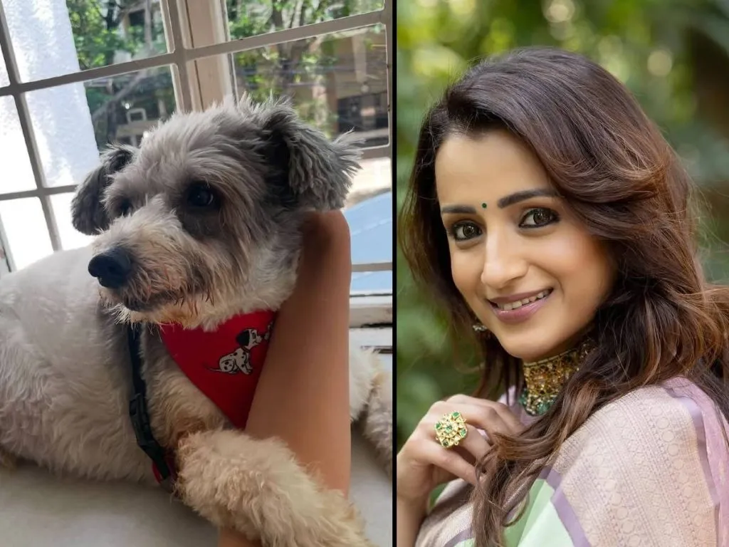 సినిమాలకు బ్రేక్‌ ఇస్తున్న త్రిష!