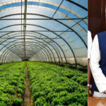 Former MP Vijayasai Reddy Ventures into Agriculture, Begins Horticulture Activities