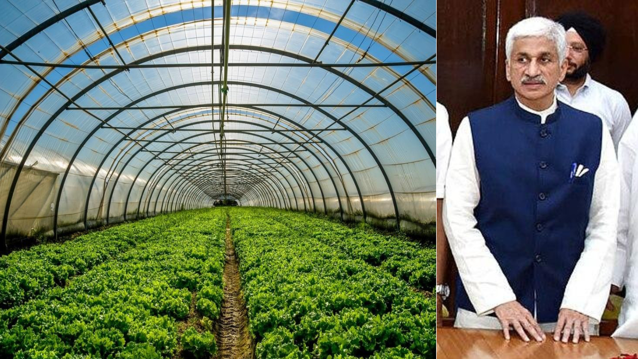 Former MP Vijayasai Reddy Ventures into Agriculture, Begins Horticulture Activities