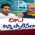 Central Home Minister Amit Shah Inquires About Jagan Assets