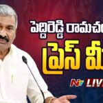 LIVE: YSRCP Peddireddy Ramachandra Reddy Press Meet