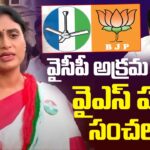 YS Sharmila Sensational Comments ON YSRCP
