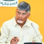 CM Chandrababu seeks Market Intervention If chilli prices Are Less Than Rs 11,781 per Quintal