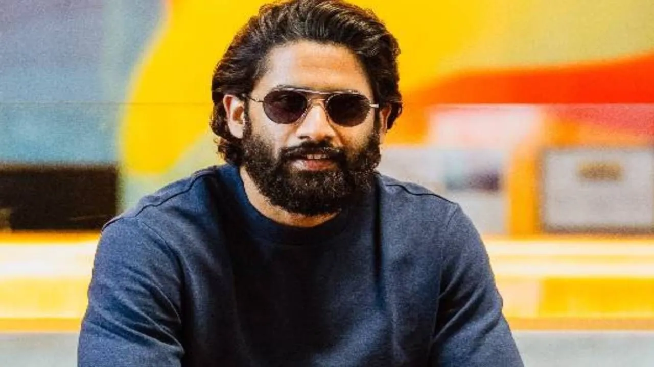 తరువాత ఏంటి చైతూ!