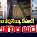 CBI Detained 4 Persons In Tirumala Laddu Ghee Adulteration Case