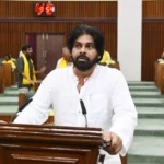Massive Corruption In Employment Guarantee Scheme During YSRCP Rule: Pawan Kalyan