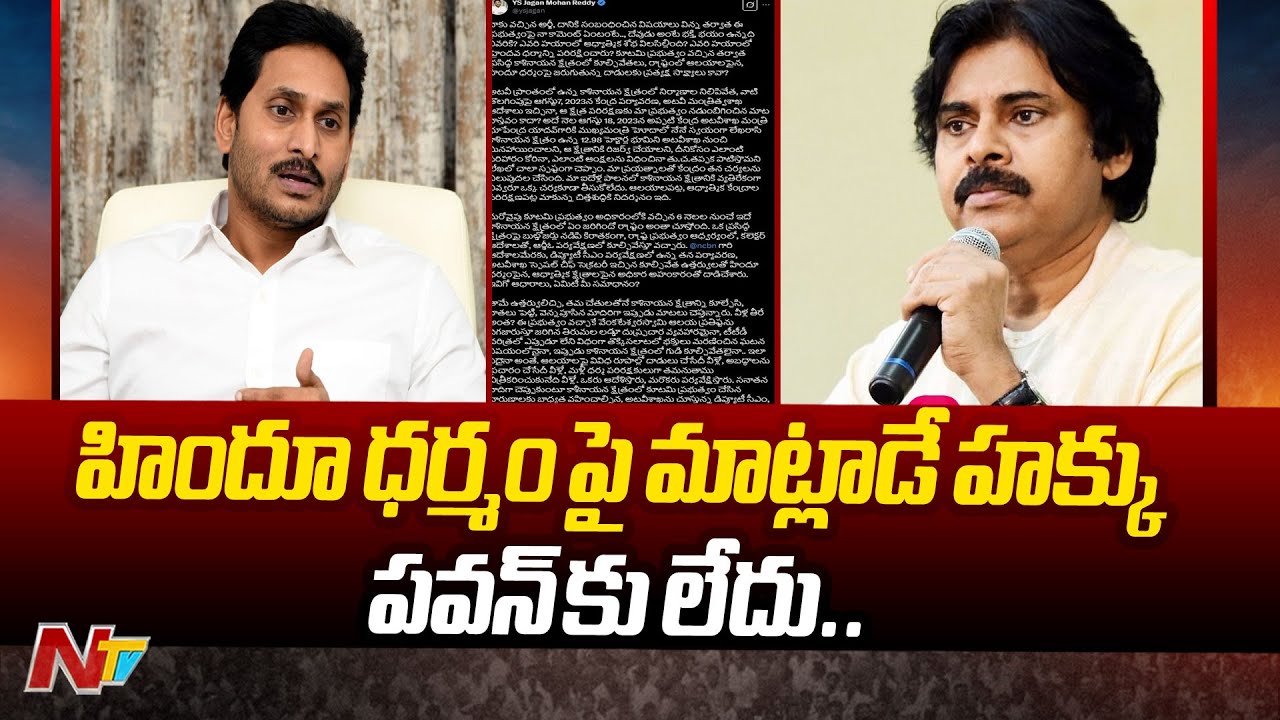 YS Jagan Sensational Comments On AP Deputy CM Pawan Kalyan