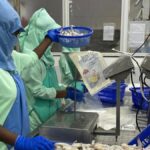 Chandrababu Urges Centre to Address Crisis in Aquaculture Sector