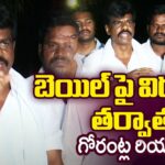 Gorantla Madhav Reaction After Getting Released On Bail