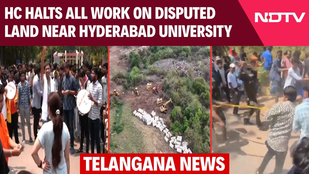 High Court Halts All Work On Disputed Land Near Hyderabad University