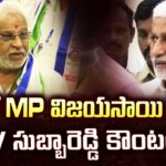 YV Subbareddy Counter To Vijaysai Reddy