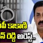Police Arrest YCP Ex Minister Kakani Govardhan Reddy