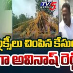 Police Filed Case Against MP Avinash Reddy PA Raghava Reddy