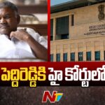 Relief from the High Court for former Tadipatri MLA Kethireddy Pedda Reddy