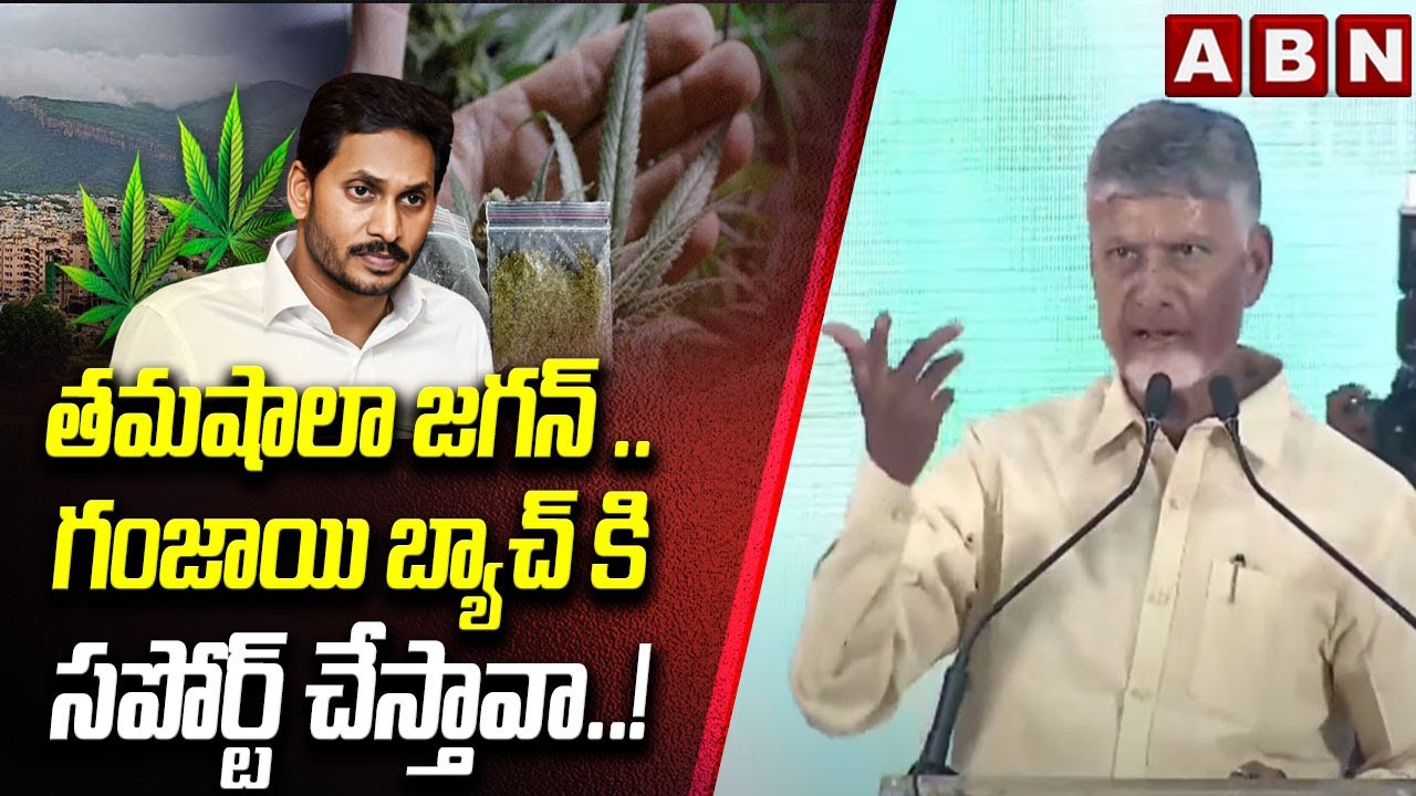 CM Chandrababu First Reaction On Jagan Sattenapalli Tour