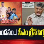 CM Chandrababu Green Signal to Thalliki Vandanam Scheme