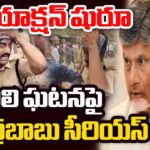 CM Chandrababu Orders Strict Action Over Violence During Jagan Podili Tour